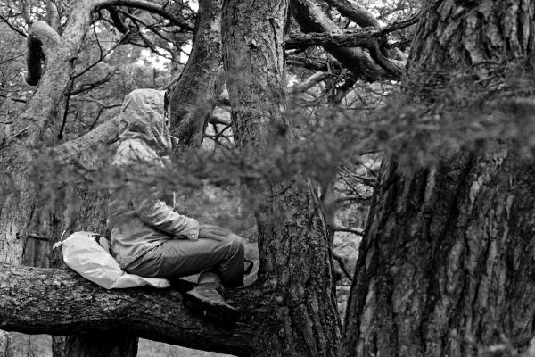 Jono Staselio nuotrauka Meditacija
